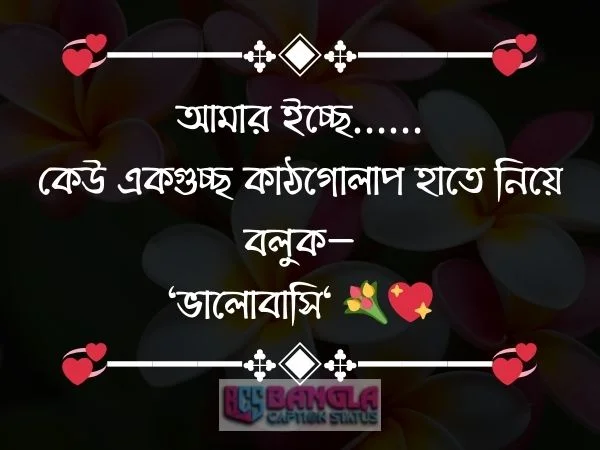 কাঠগোলাপ নিয়ে ক্যাপশন 