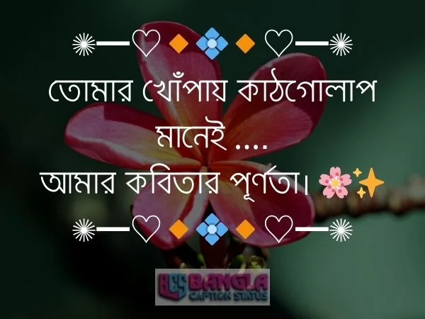 কাঠগোলাপ নিয়ে ক্যাপশন 