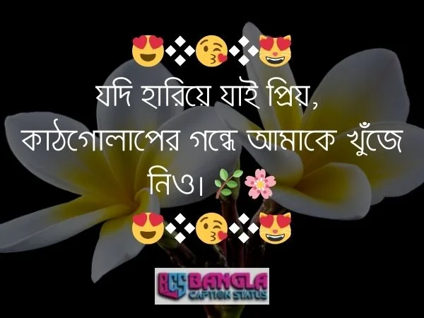 কাঠগোলাপ নিয়ে ক্যাপশন 