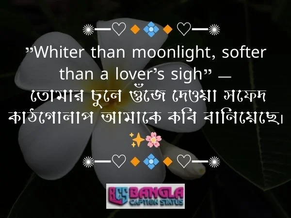 কাঠগোলাপ নিয়ে ক্যাপশন 