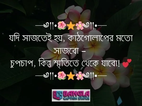 কাঠগোলাপ নিয়ে ক্যাপশন 