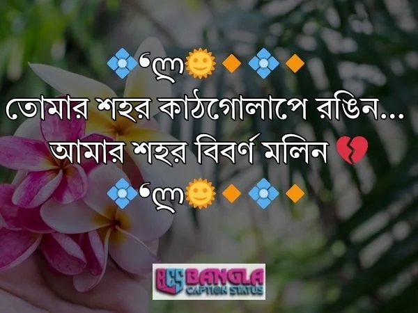 কাঠগোলাপ নিয়ে ক্যাপশন 