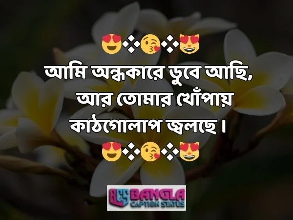 কাঠগোলাপ নিয়ে ক্যাপশন 