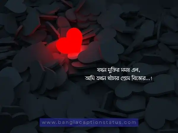 বেস্ট রোমান্টিক বাংলা ক্যাপশন, এসএমএস, মেসেজ ও উক্তি
