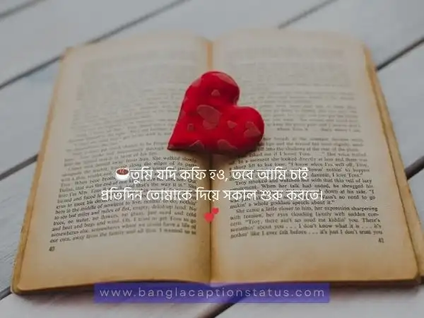 বেস্ট রোমান্টিক বাংলা ক্যাপশন, এসএমএস, মেসেজ ও উক্তি