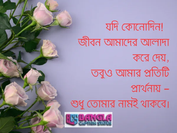 ইমোশনাল লাভ মেসেজ 