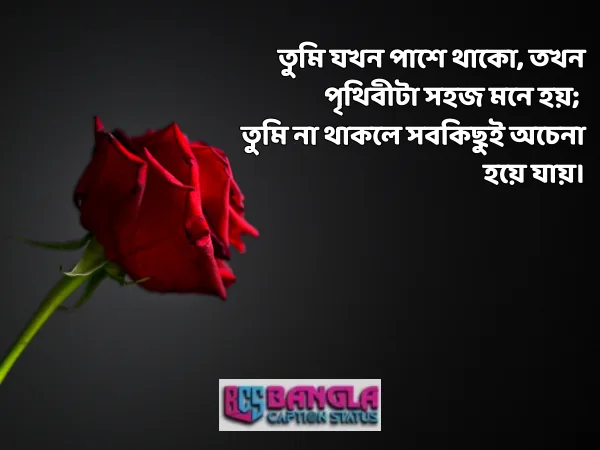 ইমোশনাল লাভ মেসেজ 