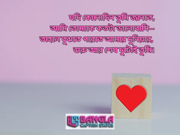 ইমোশনাল লাভ মেসেজ 