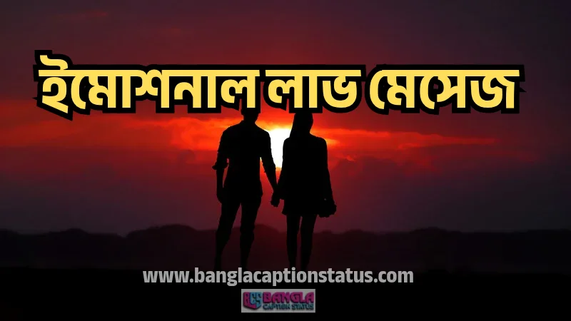 ইমোশনাল লাভ মেসেজ