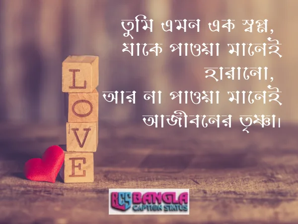 ইমোশনাল লাভ মেসেজ 