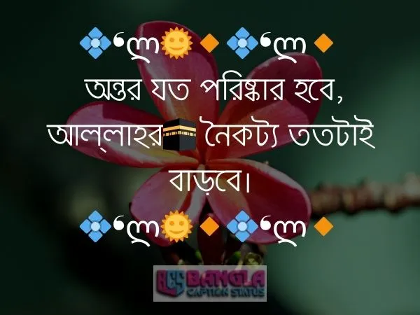  কভার ফটো ক্যাপশন 