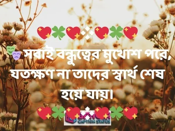  কভার ফটো ক্যাপশন 