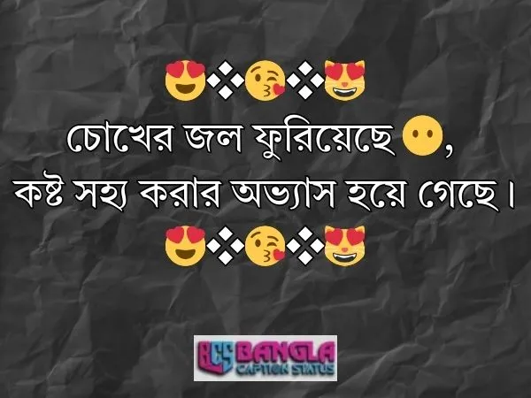 কভার ফটো ক্যাপশন 