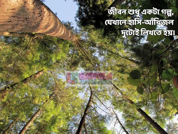জীবন নিয়ে ক্যাপশন