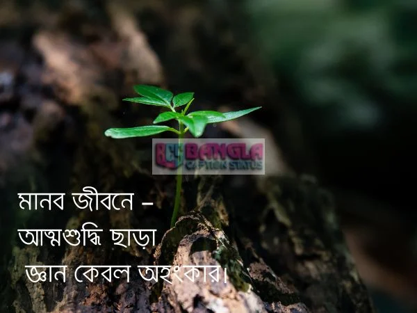 জীবন নিয়ে ক্যাপশন