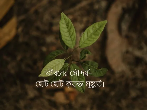 জীবন নিয়ে ক্যাপশন