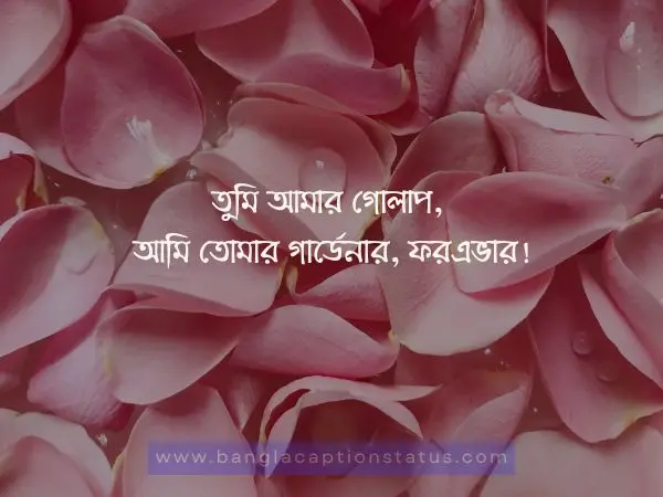 গোলাপ ফুল নিয়ে ক্যাপশন | rose flower caption