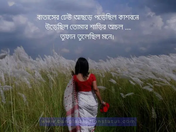 শরতের কাশফুল নিয়ে ক্যাপশন | Viral Kashful Captions