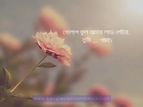 গোলাপ ফুল নিয়ে ক্যাপশন | rose flower caption