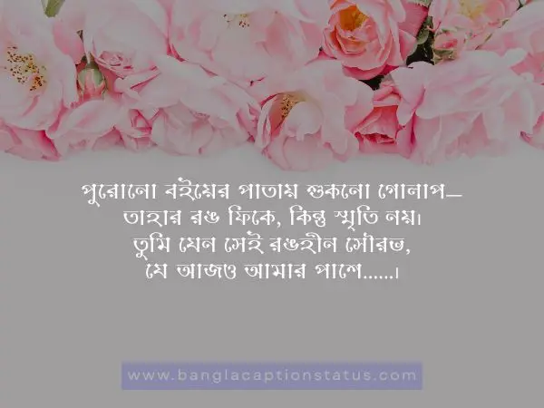 গোলাপ ফুল নিয়ে ক্যাপশন | rose flower caption