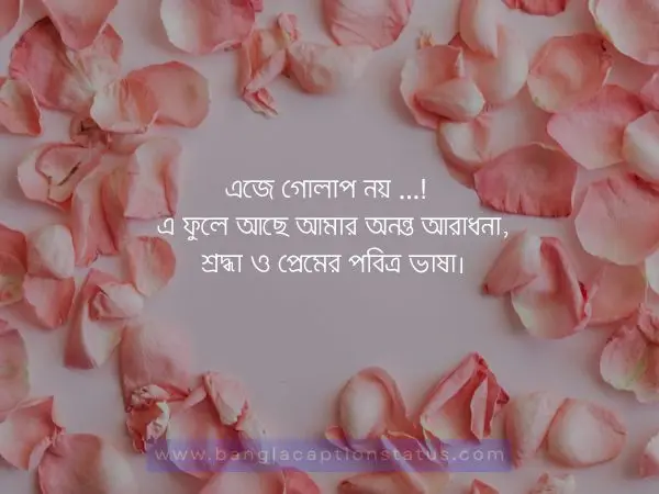 গোলাপ ফুল নিয়ে ক্যাপশন | rose flower caption