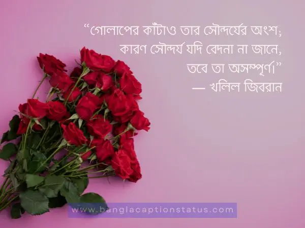 গোলাপ ফুল নিয়ে ক্যাপশন | rose flower caption