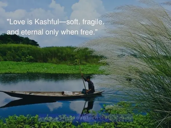 শরতের কাশফুল নিয়ে ক্যাপশন | Viral Kashful Captions