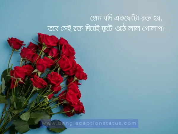 গোলাপ ফুল নিয়ে ক্যাপশন | rose flower caption