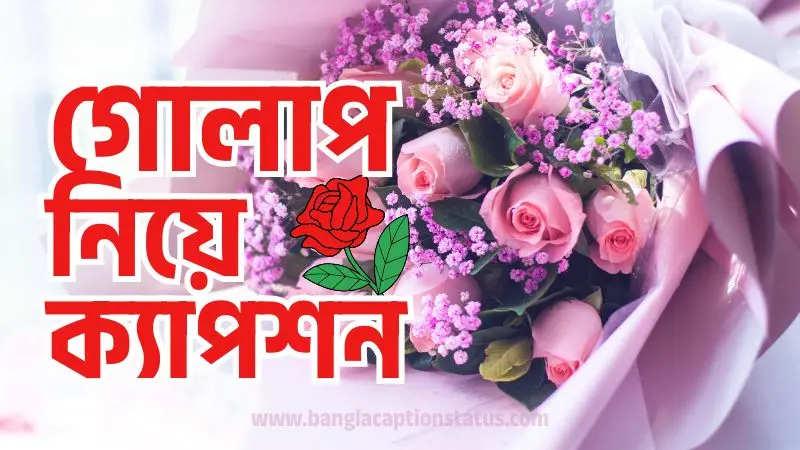 গোলাপ ফুল নিয়ে ক্যাপশন | rose flower caption