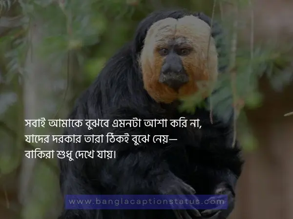 বেস্ট ক্যাপশন বাংলা
